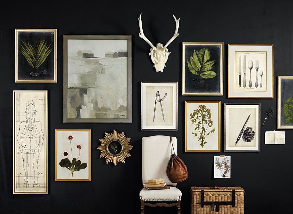 Eclectic gallery wall on dark background mixing botanical prints, line drawings, and natural specimens in warm wood frames