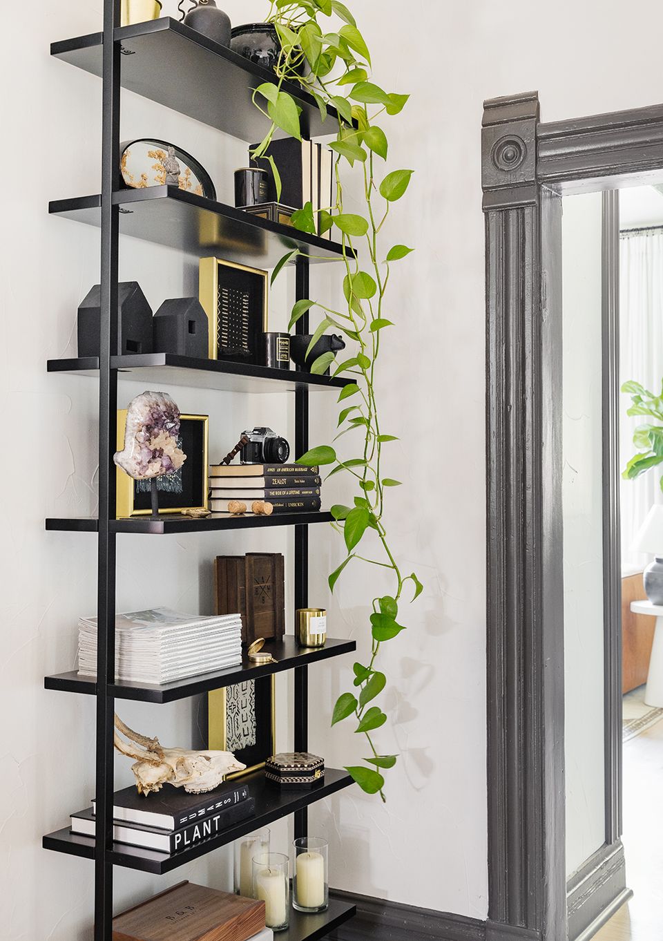 Industrial-chic black shelving unit with trailing greenery, decorative objects, and modern styling against white walls.