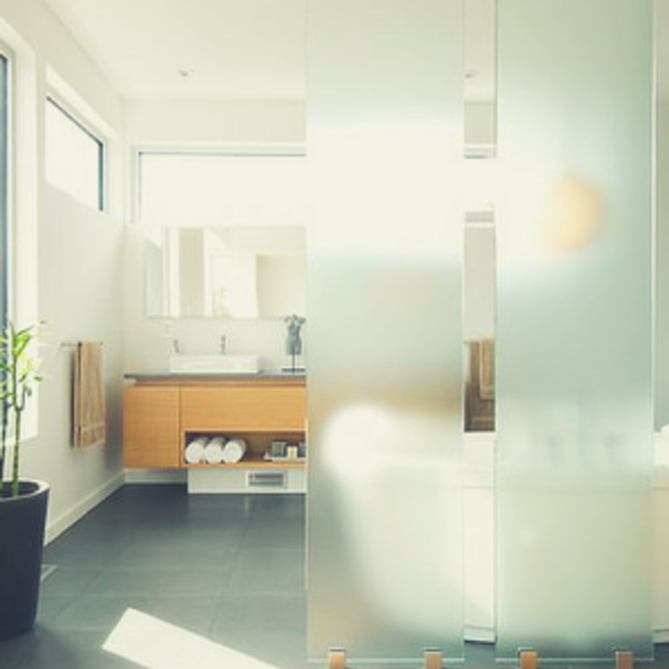 Contemporary spa-inspired bathroom with light wood vanity and minimal green plant accent