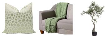 Sage green accents including geometric pillow, draped throw, and potted plant for organic styling.