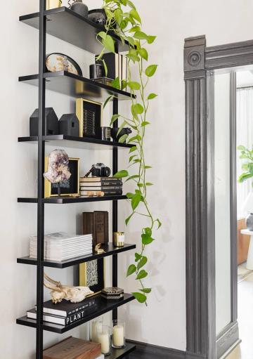 Industrial-modern entryway with black metal shelving, cascading trailing plants, and curated decor on white walls