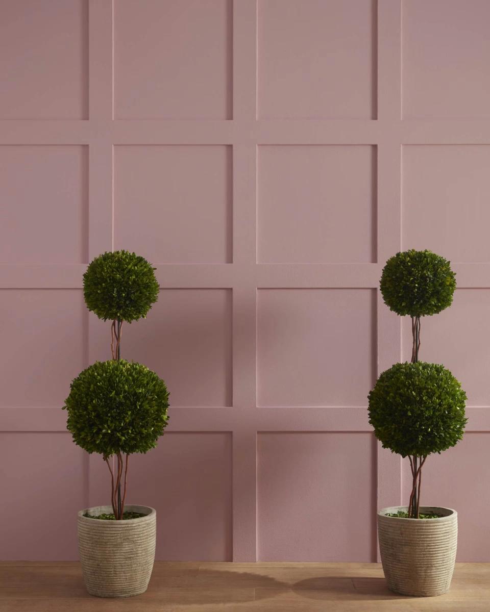 Minimalist entryway with mauve walls, geometric paneling, and symmetrical topiary topiaries in neutral planters