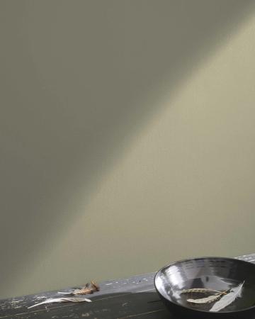 Soft sage green wall with natural sunlight and minimalist styling evoking a tranquil, organic mood