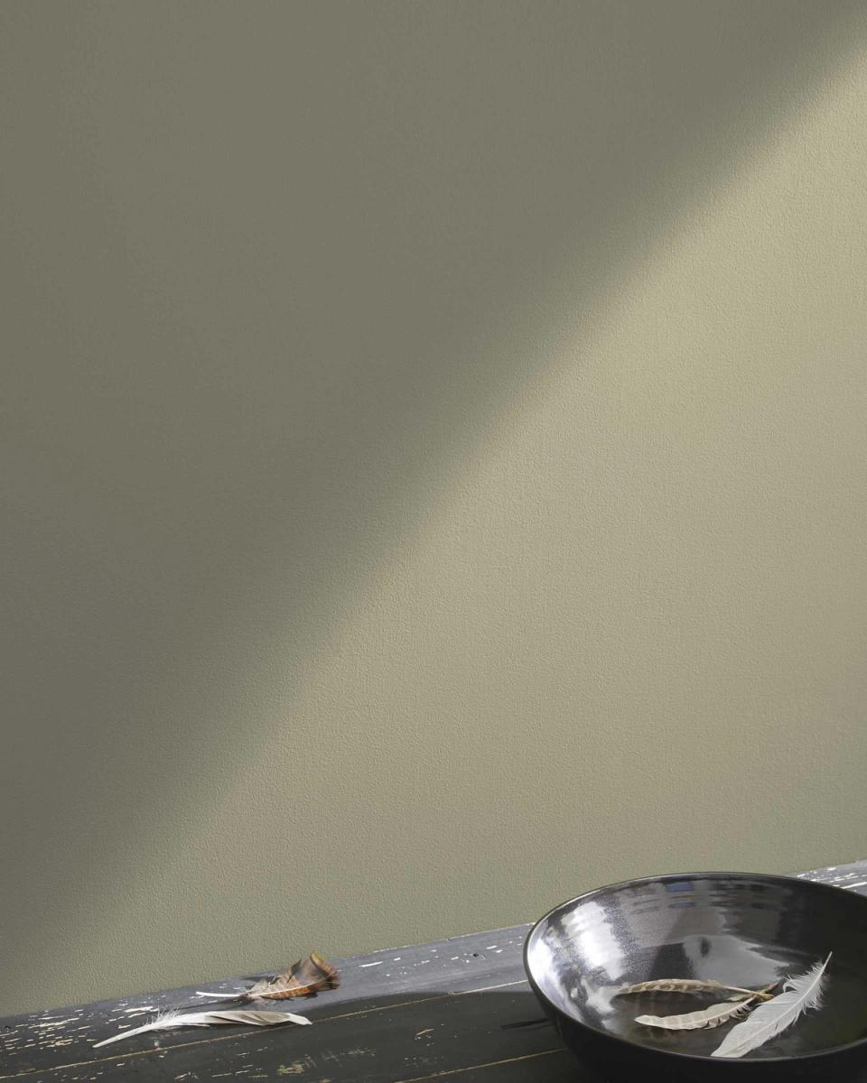 Soft sage green wall with natural sunlight and minimalist styling evoking a tranquil, organic mood