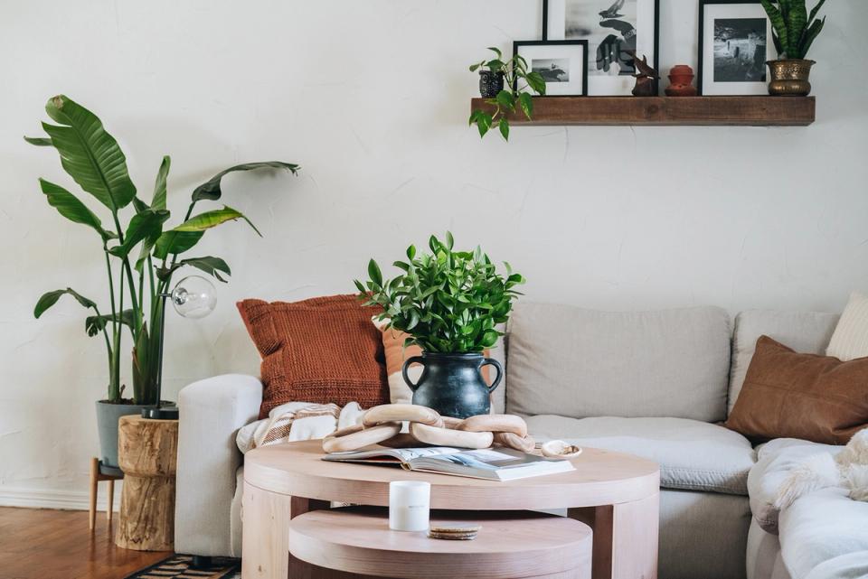 Minimalist rustic seating area featuring warm wood, natural plants, and earthy brown and cream color palette