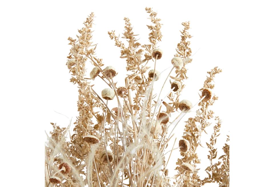 Dried botanical arrangement with neutral beige tones and natural textures, creating an airy, minimalist aesthetic
