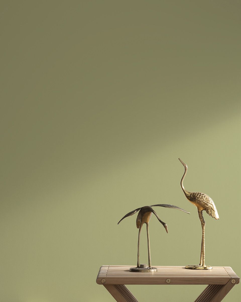 Muted sage green backdrop with delicate dried botanicals on wooden shelf, emphasizing understated natural elegance