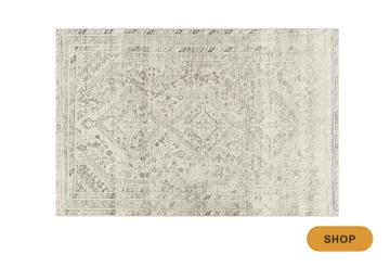 Light neutral area rug with subtle texture and minimalist distressed monochromatic aesthetic