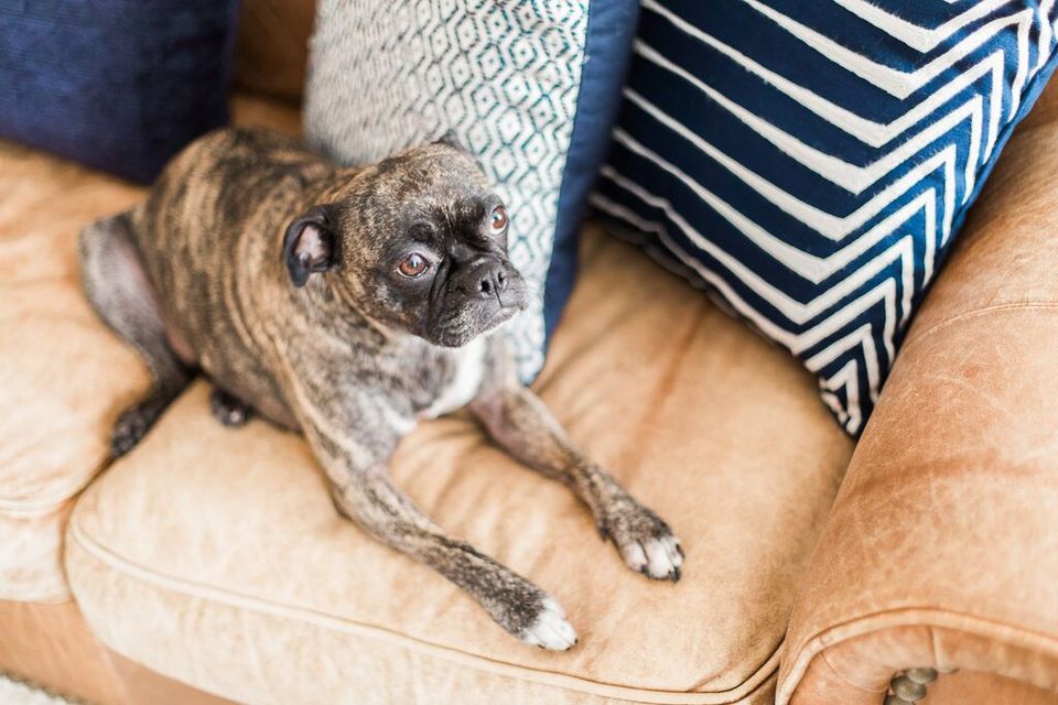 Coastal-inspired living room with navy geometric pillows and tan pet bed