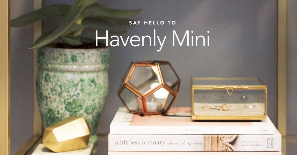 Minimalist shelf styling with warm metallics, potted plant, and geometric decor in neutral tones