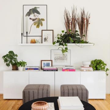 Contemporary botanical vignette: white storage, botanical artwork, dried grasses, green plants, and colorful books in organic arrangement.