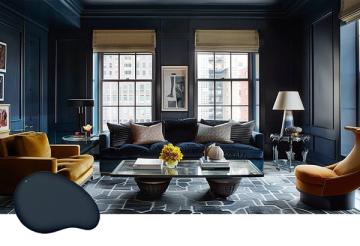Transitional sitting room in deep navy with golden accent chairs, geometric area rug, and window seating offering sophisticated warmth and contrast