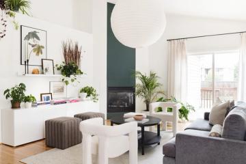 Scandinavian-inspired living room with dark green accent wall, potted plants, and light wood flooring in serene minimalist design.