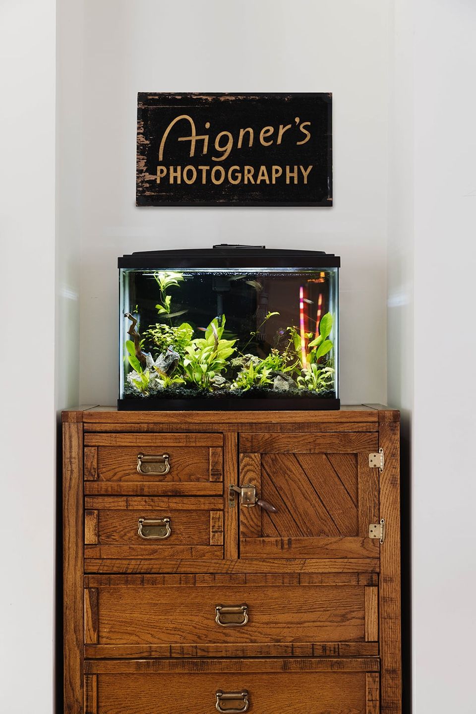 Curated vignette: vintage wood dresser, aquarium with live plants, and vintage photography sign on white wall