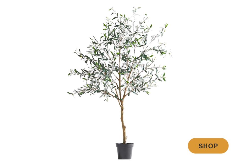 Delicate faux olive tree with feathery branches in black pot, airy Mediterranean-inspired greenery