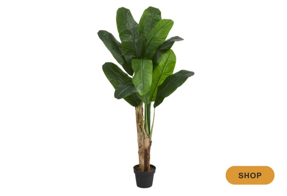 Tall faux banana plant with cascading leaves in black pot, tropical botanical statement piece