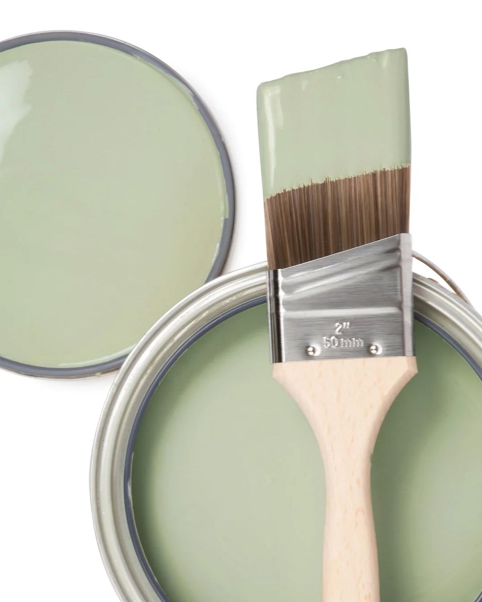 Soft sage green paint swatches with brush, showing calming pastel hue palette