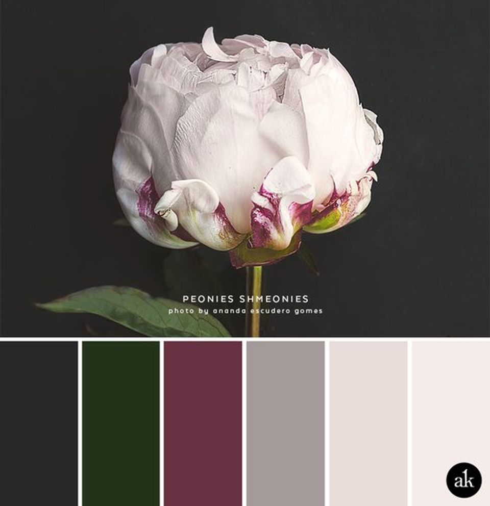 Sophisticated color palette of forest green, mauve, greige, and cream inspired by blush peony blooms