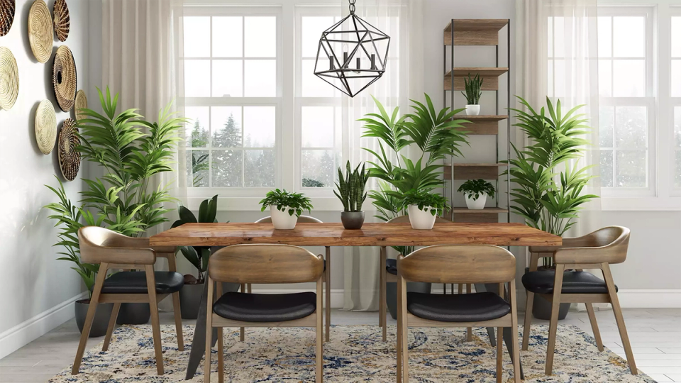Botanical modern dining room featuring wooden table, mid-century chairs, and abundant potted plants