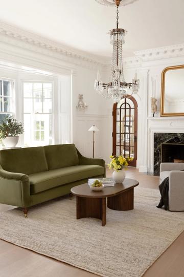 Elegant traditional living room with olive green sofa, crystal chandelier, and refined classical architectural details