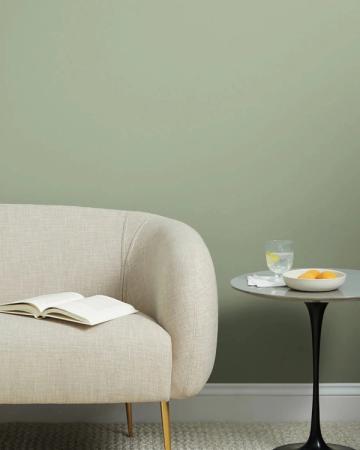 Tranquil modern living area featuring cream curved armchair against soft sage green walls with minimalist black side table and natural accents
