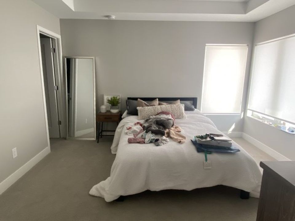 Minimalist bedroom with soft gray palette, clean lines, and abundant natural light