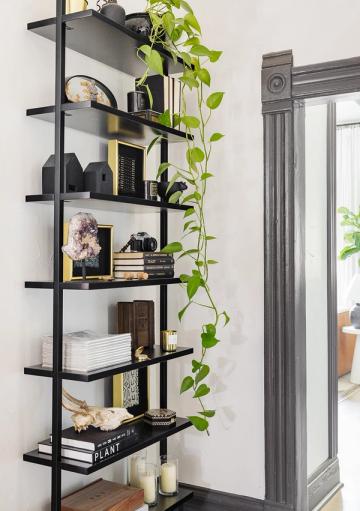 Industrial black metal floating shelves with modern styling, lush trailing plants, and curated decor objects