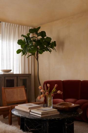 Earthy organic living space with burgundy velvet sofa, marble coffee table, tall potted plant, and warm wood furniture creating intimate ambiance.