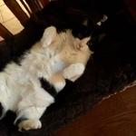 service.heading service image