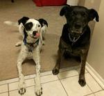 service.heading service image