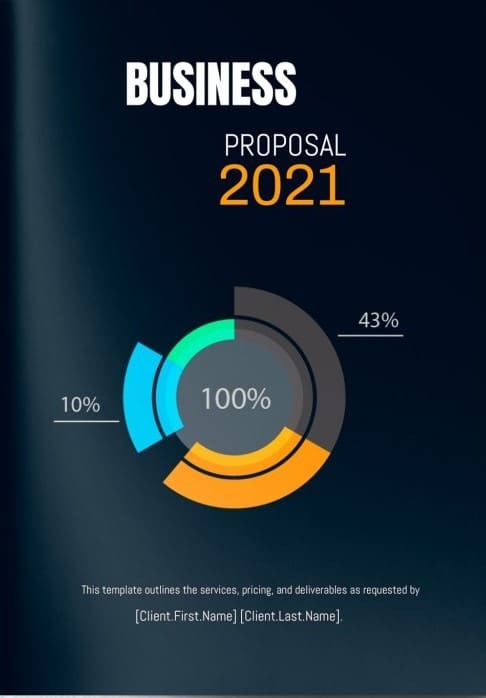 infographic business proposal
