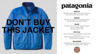 Patagonia ad creative