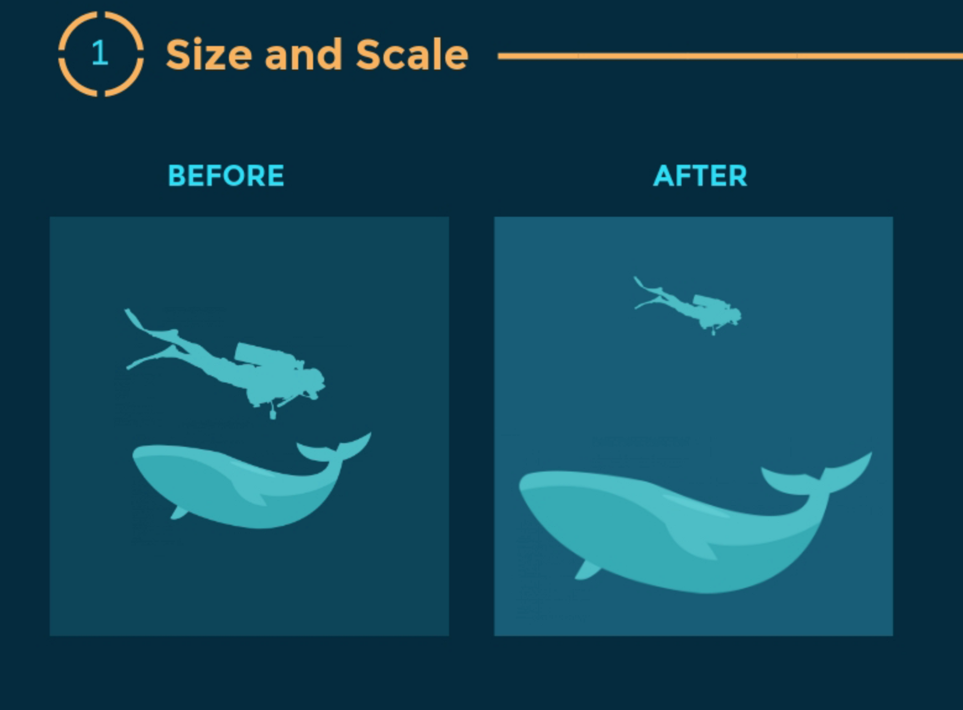 The Ultimate 5-Step Graphic Design Process - Superside