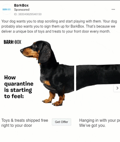 Barkbox 1