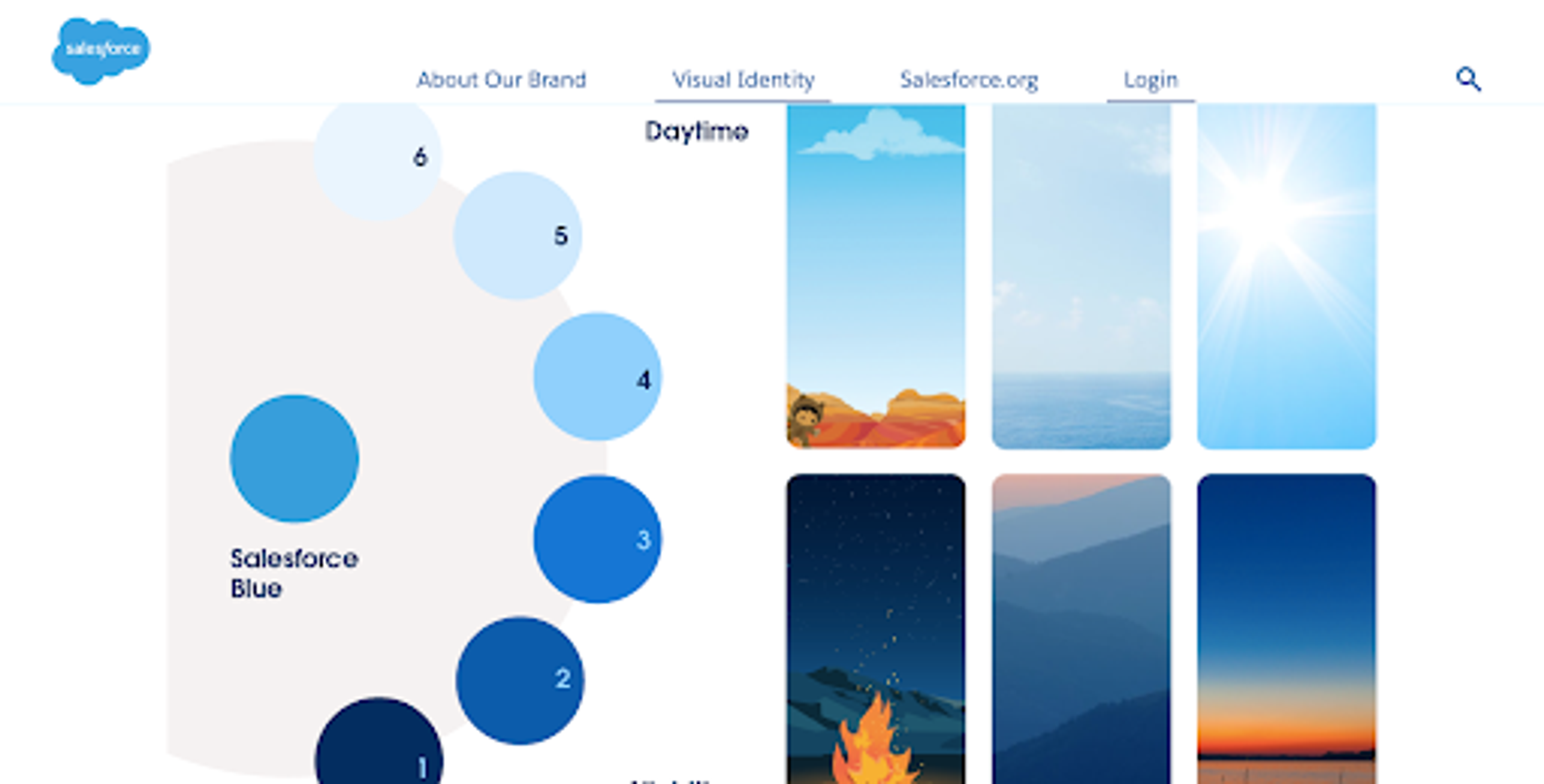 A page from the Salesforce brand guidelines. 