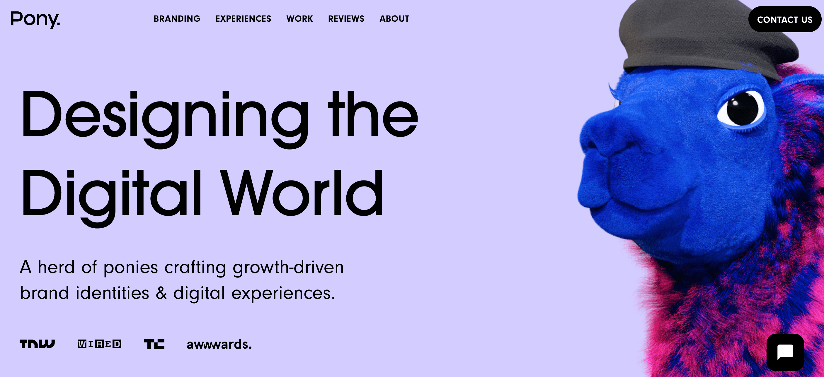 Pony Saas design