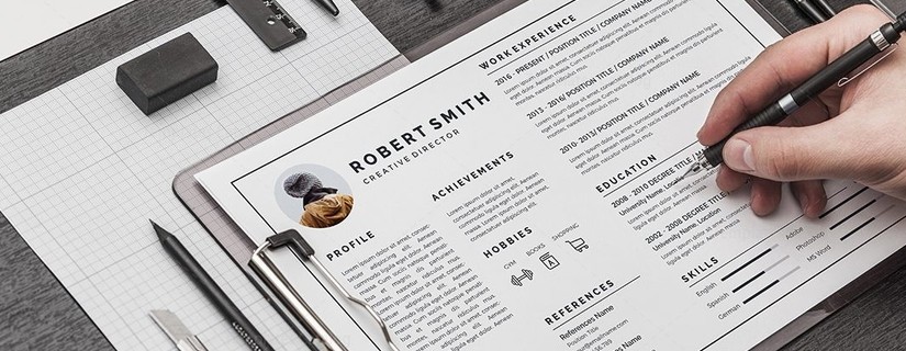 15+ Infographic Resume Ideas