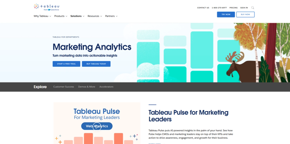 Tebleau website