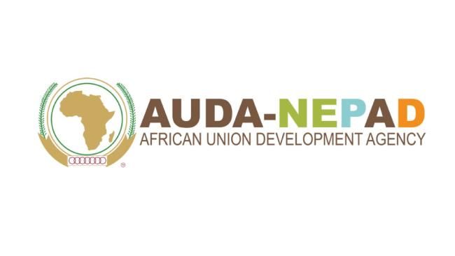 Logo for African Union Development Agency - NEPAD