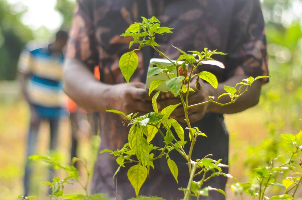 Crop Disease Detection App