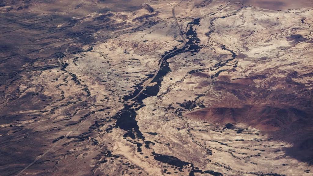 Towards an African Agenda for AI Safety