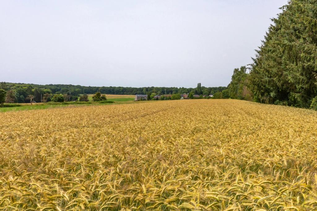 Responsible AI for Circular Economy