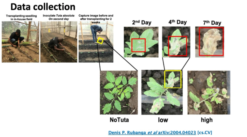 Un outil d'évaluation et de prévision des parasites de la tomate par vision par ordinateur - ICLR 2020