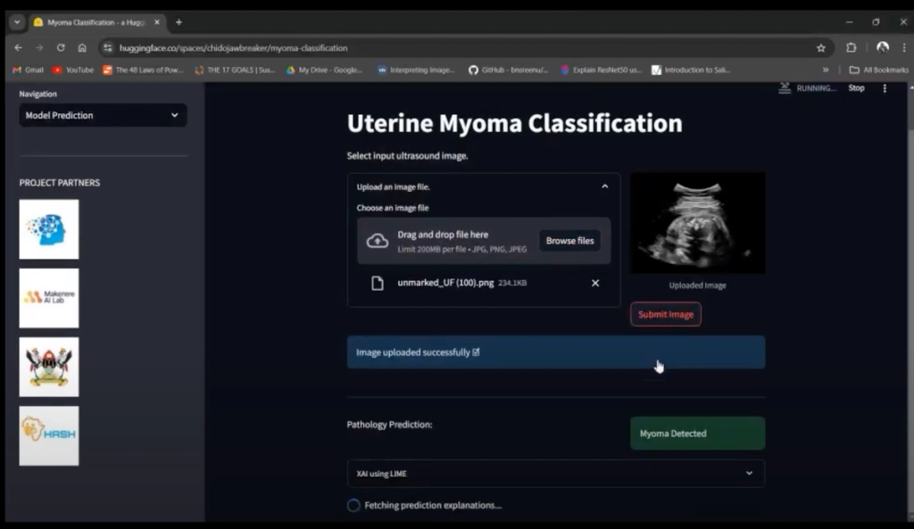 A Machine Learning-Aided Platform for Point-of-Care Pregnancy Risk Assessment from 2D Ultrasound