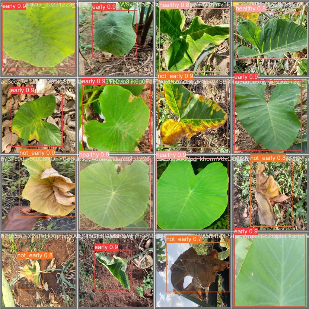 AI Mobile App for Taro Leaf Blight Control