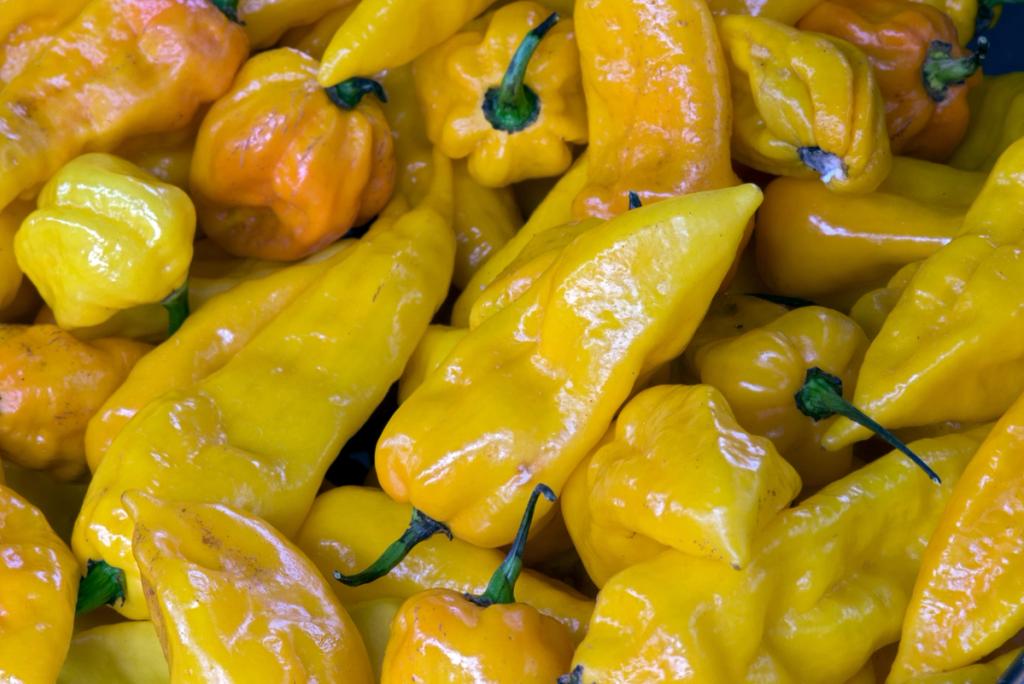 AI for Nsukka Yellow Pepper