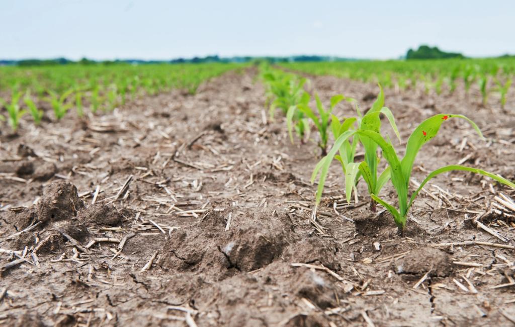 Smart Agriculture Monitoring - Cape Verde
