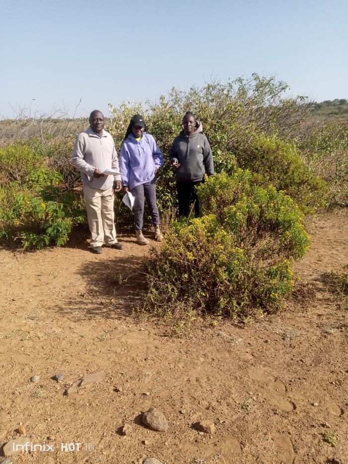 Smart Technology for Climate Change Effects on Terrestrial Plants Diversity and Conversation for Sustainable Livelihood