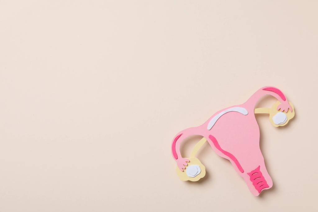 Étude de faisabilité pour le développement d’un système de diagnostic à distance et en temps réel des échantillons cytologiques de frottis cervico-vaginaux fixés (PAP), assisté par l’intelligence artificielle.