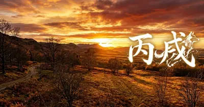 丙戌(ひのえいぬ)の性格・才能・ビジネス活用術